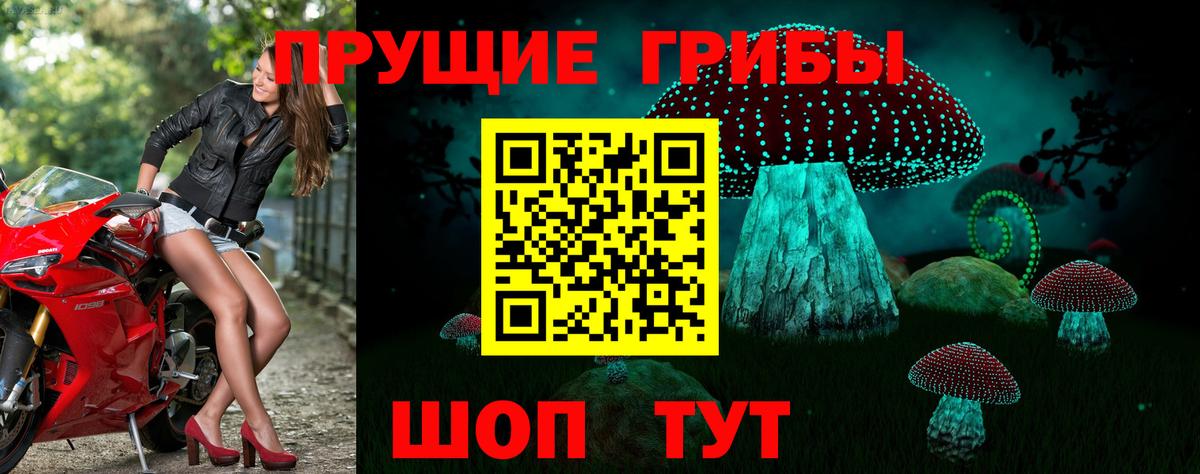 Углич  Псилоцибиновые грибы Cubensis  Псилоцибиновые грибы MAGIC MUSHROOMS  Вход с VPN 