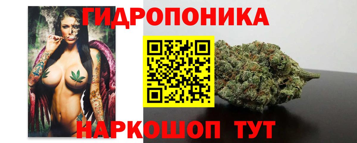 Конопля конопля Углич